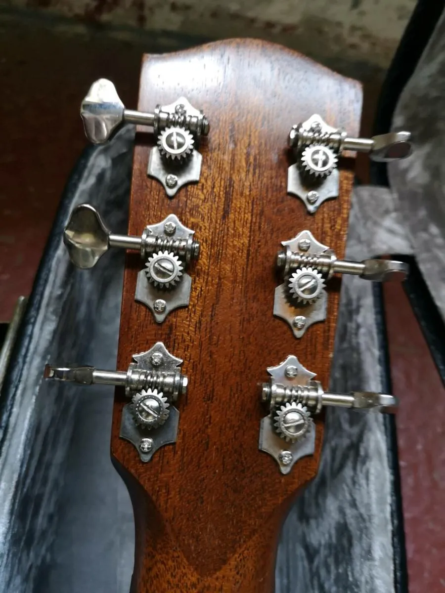 Eastman E20SSV/SB with pickup. - Image 4