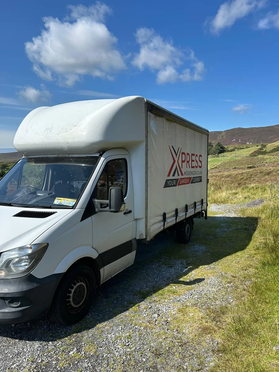 2015 Mercedes Sprinter 313 Luton - Image 2