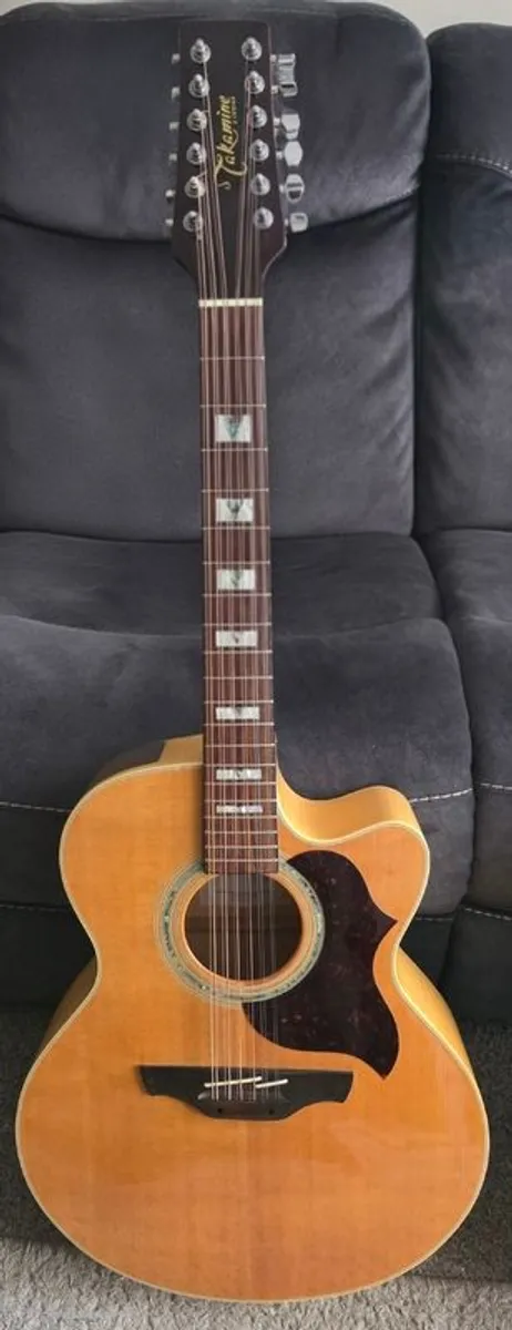 Takamine Guitar - Image 2