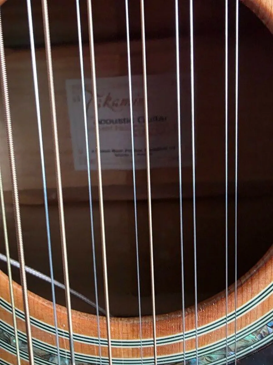 Takamine Guitar - Image 3
