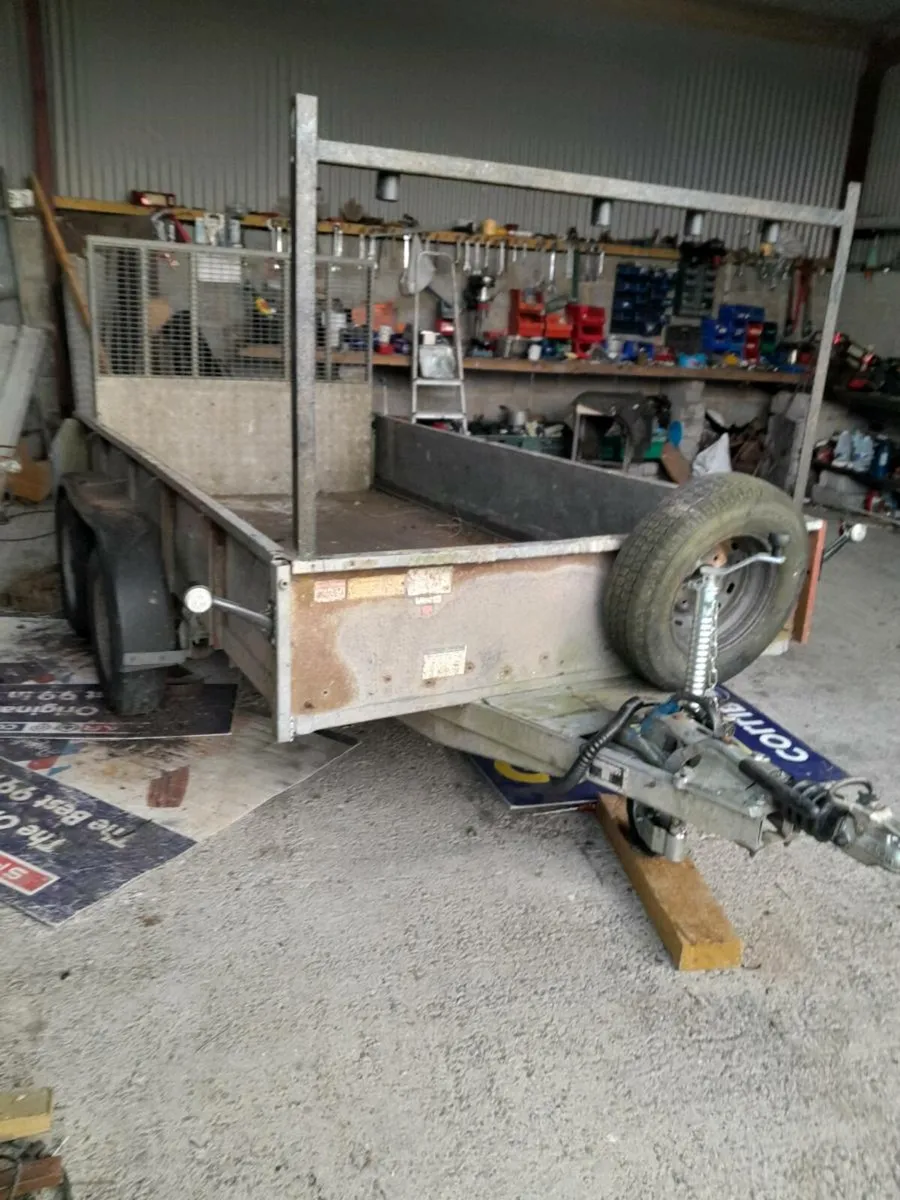 Ifor  williams trailer 10by5ft6 cal 0868782672 - Image 1