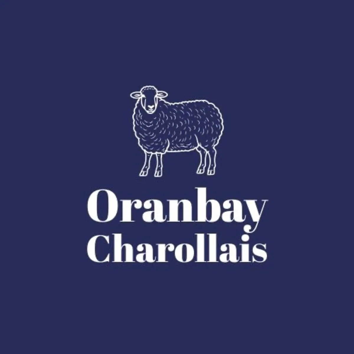 Sheep - Image 1
