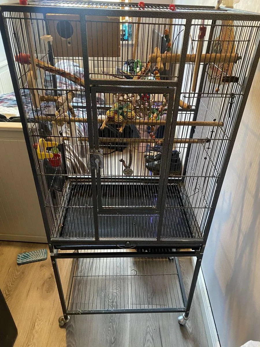 Large Bird Cage - Image 1