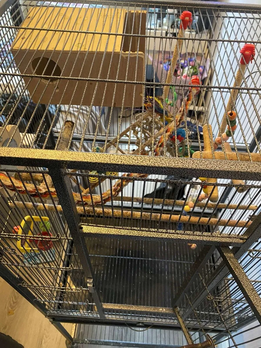 Large Bird Cage - Image 3