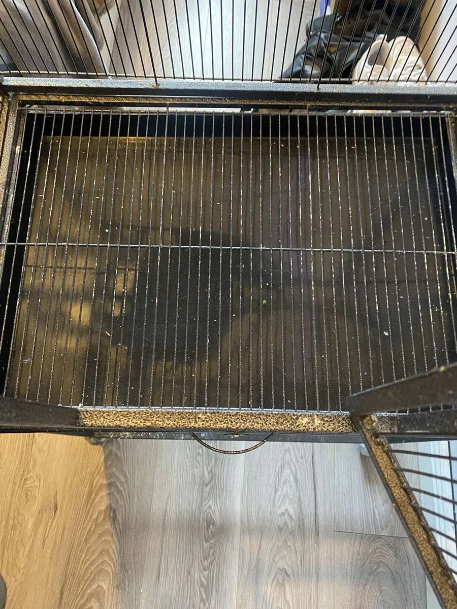Large Bird Cage - Image 4