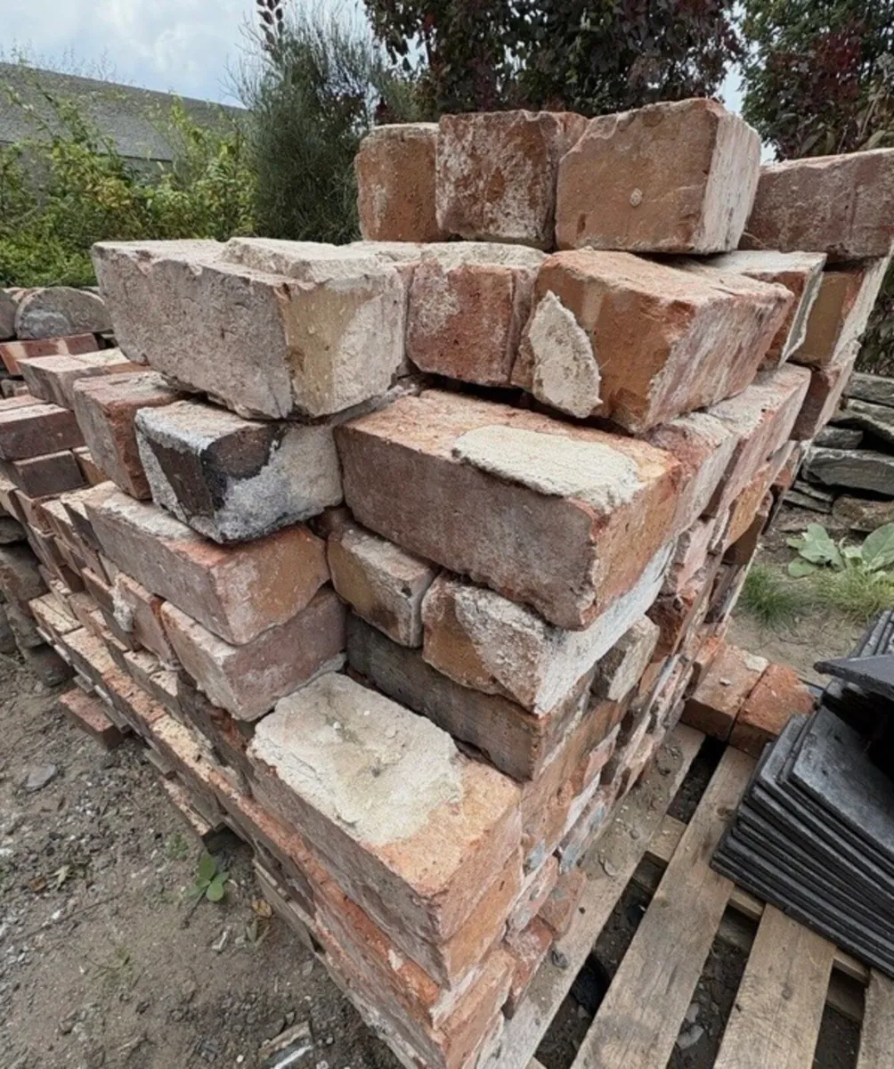Reclaimed bricks - Image 3