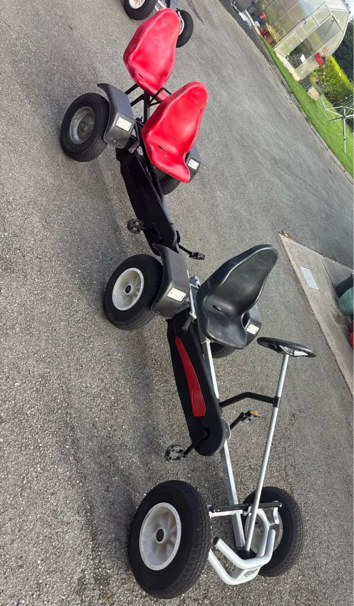 Berg Extra Go Cart for 3 - Image 1