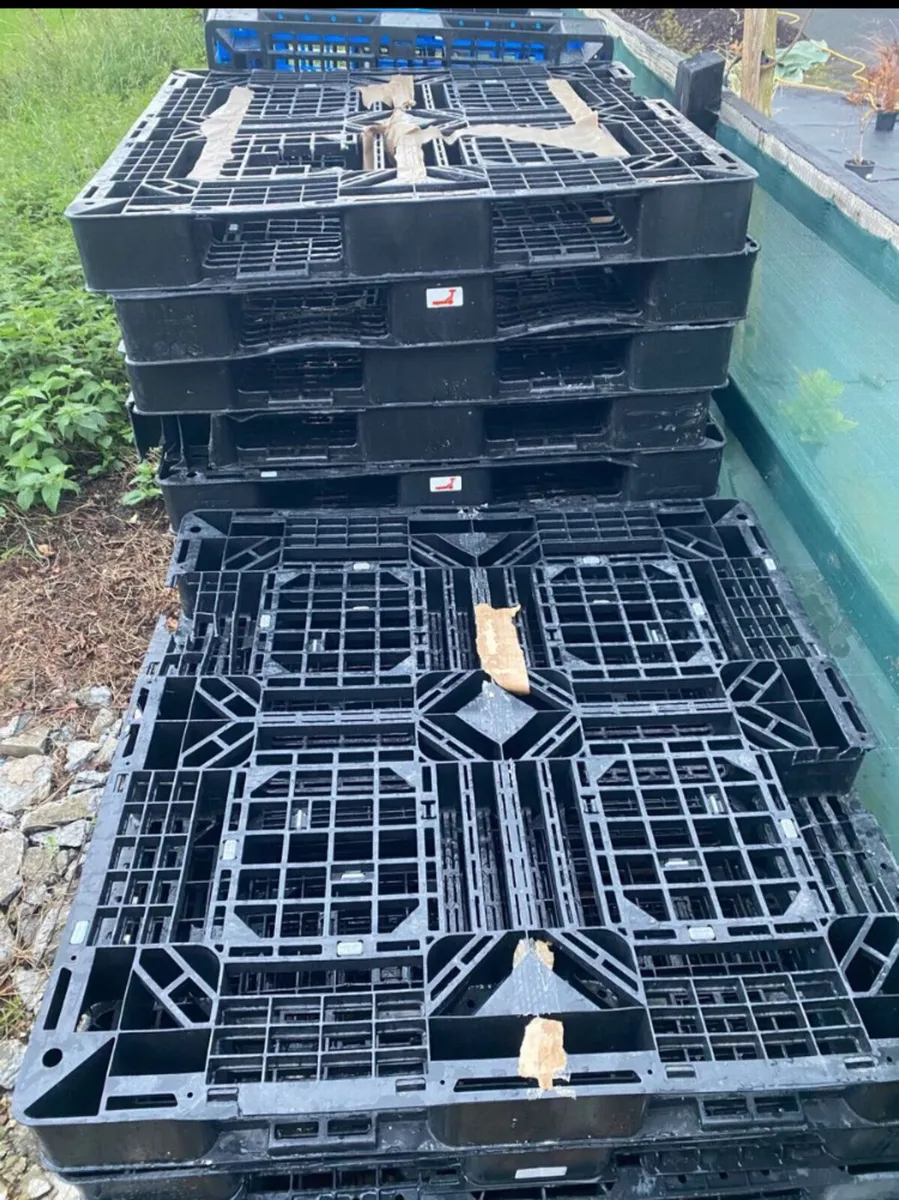 Slightly Damaged plastic pallets
