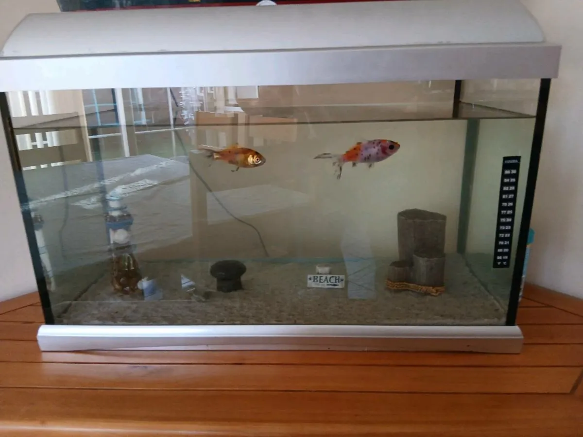 Fish tank - Image 1