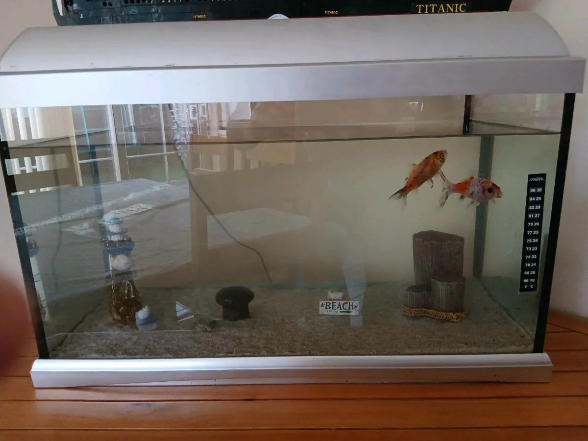 Fish tank - Image 2