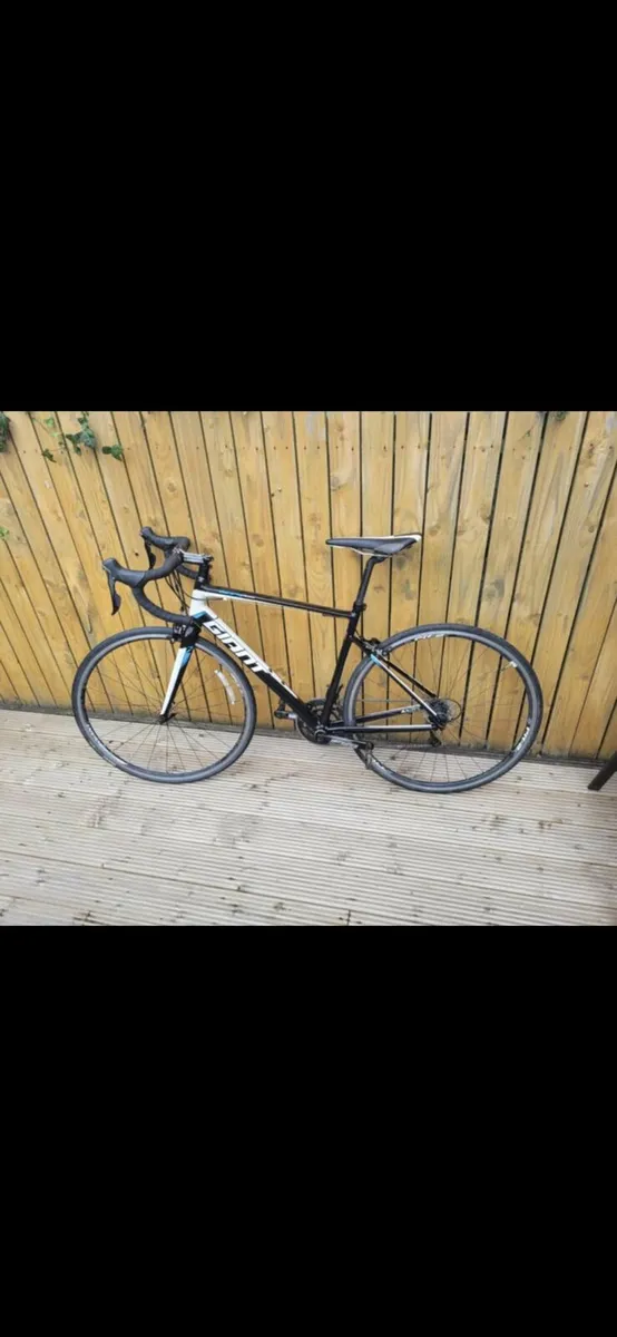 Giant racing bike