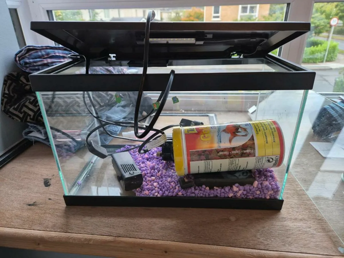 Fish Tank