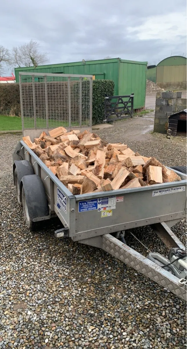 🔥ash firewood 🔥 - Image 1