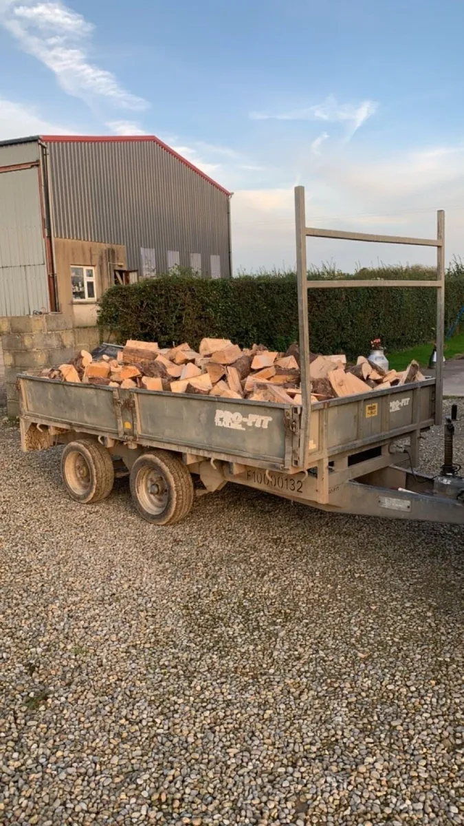 🔥ash firewood 🔥 - Image 1