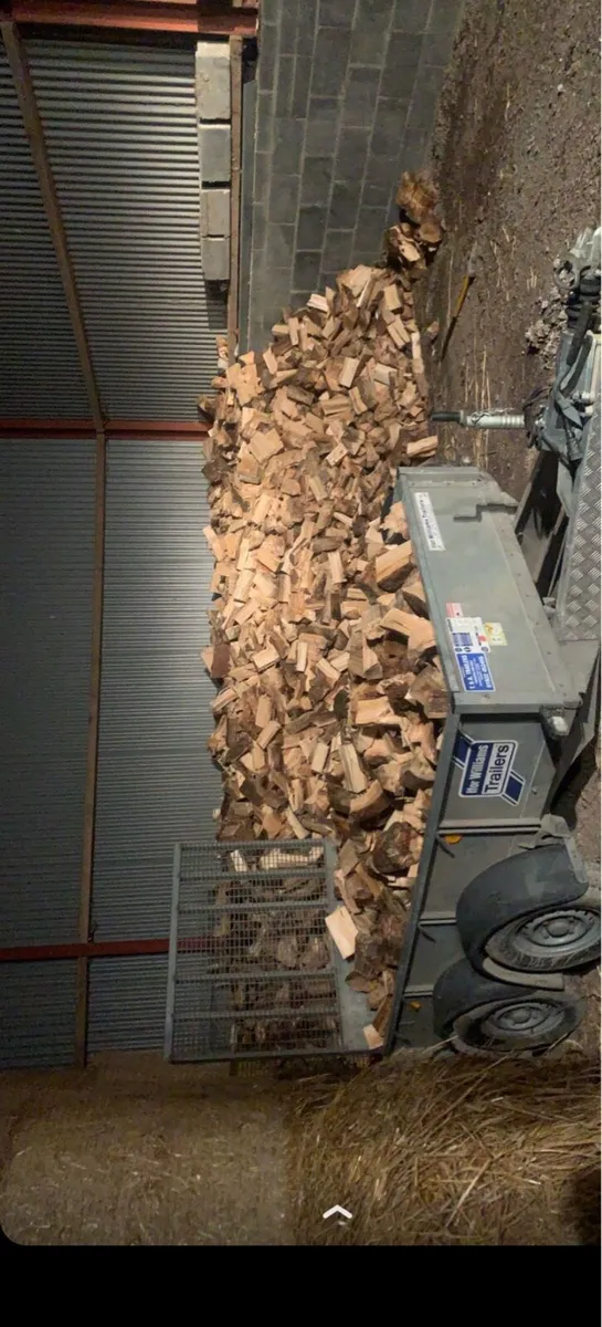 🔥ash firewood 🔥 - Image 2