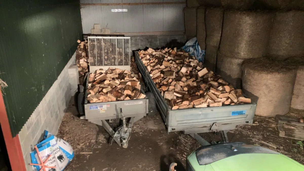 🔥ash firewood 🔥 - Image 3