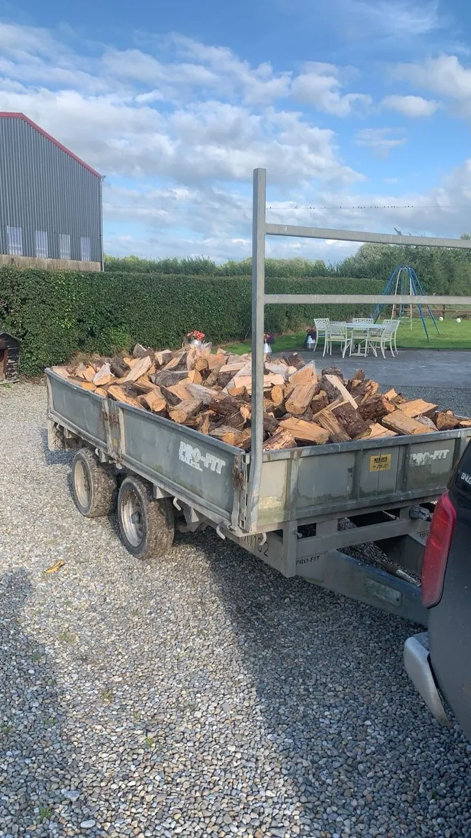 🔥ash firewood 🔥 - Image 1