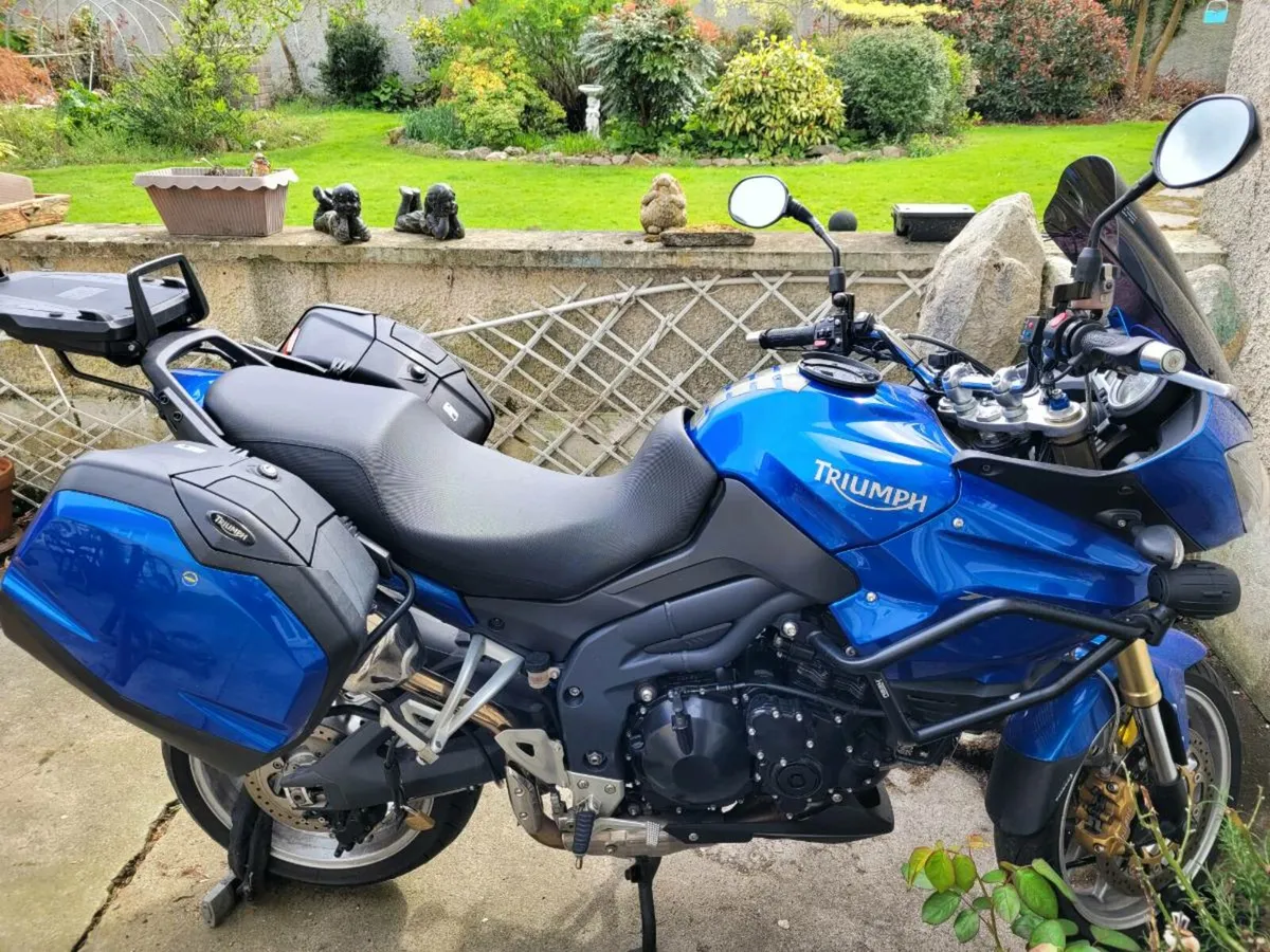Triumph tiger 1050 - Image 4