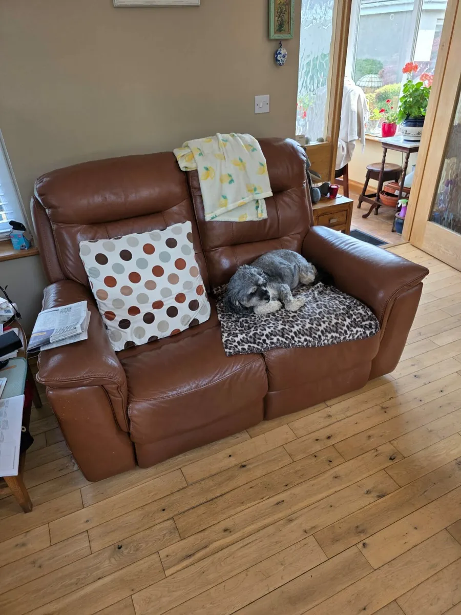 Electric Recliner Sofa