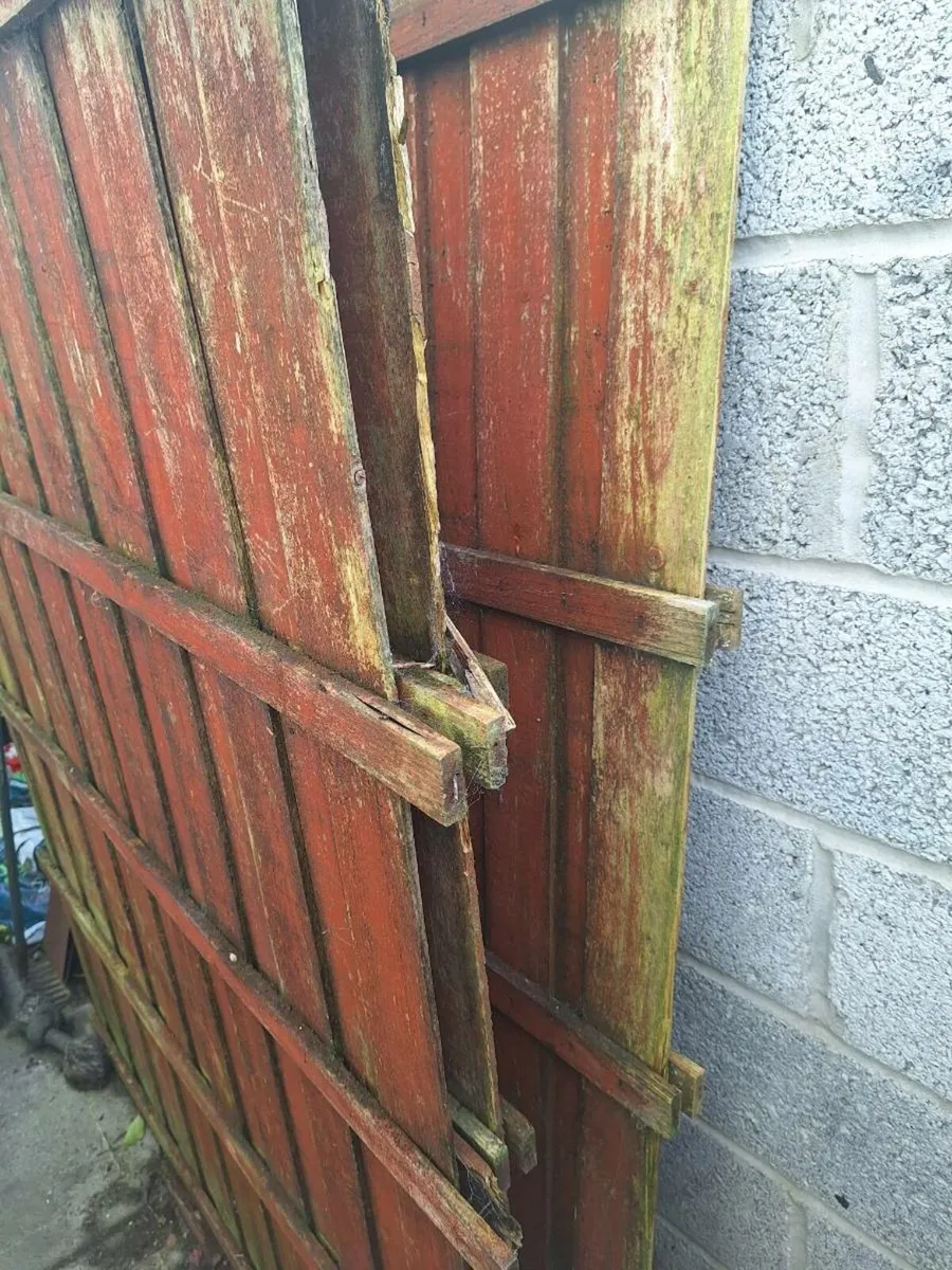 Free to take away.Old Garden fence timber panels - Image 4