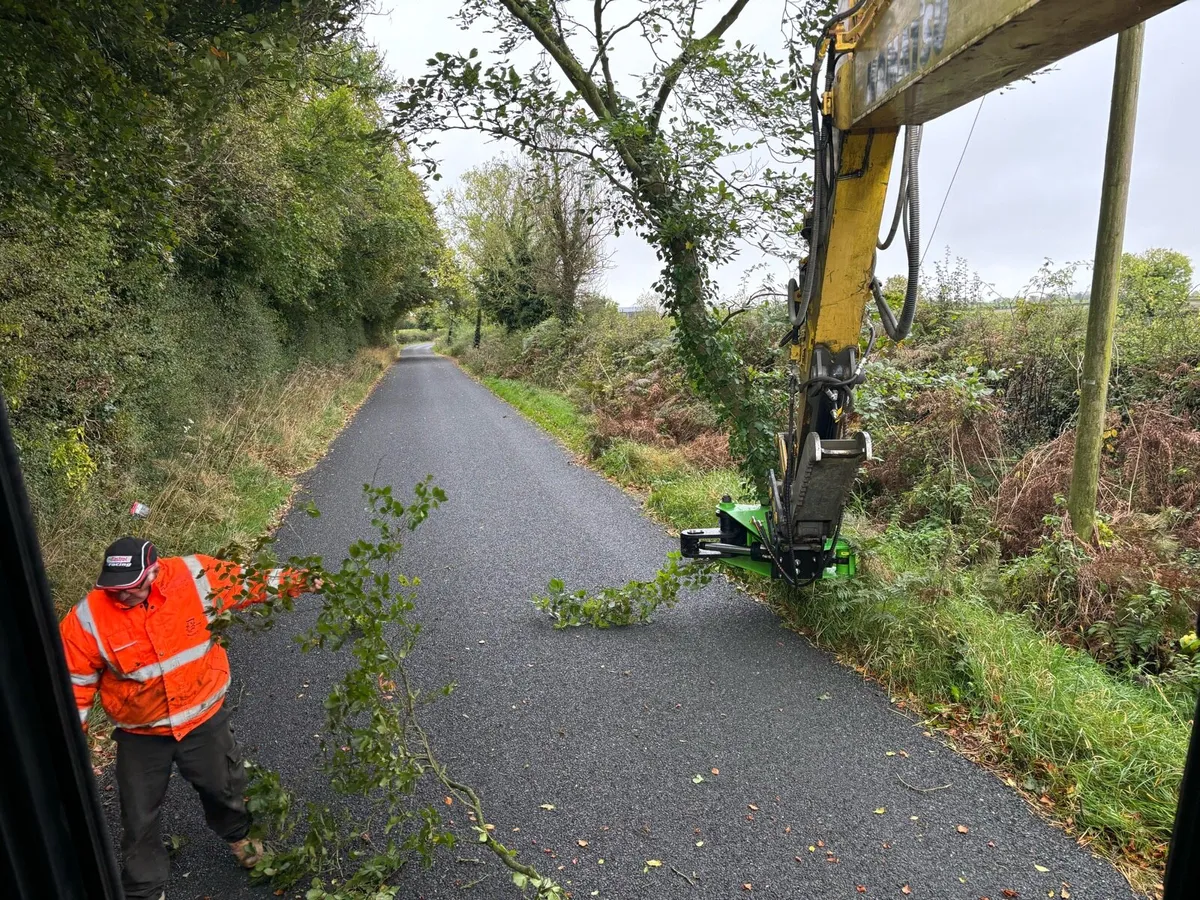 Tree Shear & felling, saw on digger - Image 2