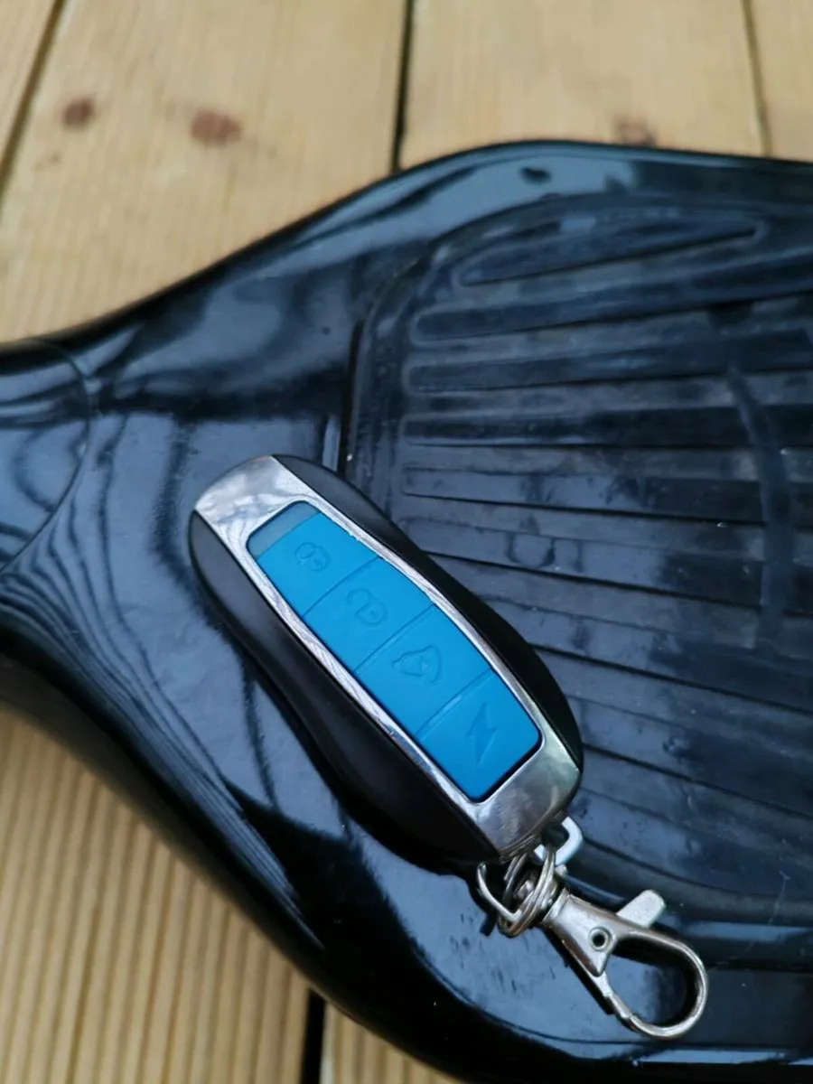 Hoover board - Image 2