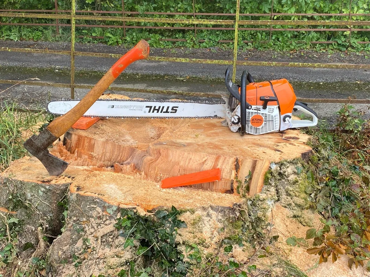 Tree Shear & felling, saw on digger - Image 1