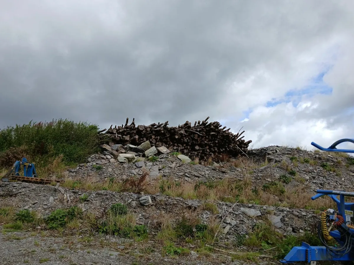 Firewood - Image 4