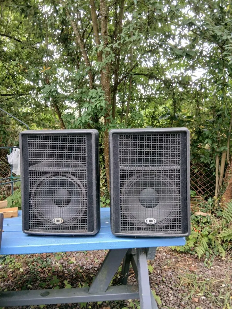 Dynacord D12 speakers with covers - Image 2