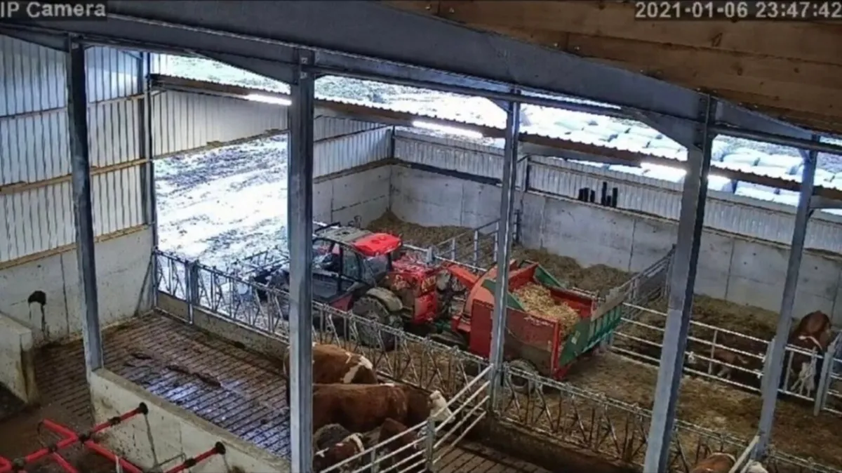Calving & Security Cameras installation service - Image 4