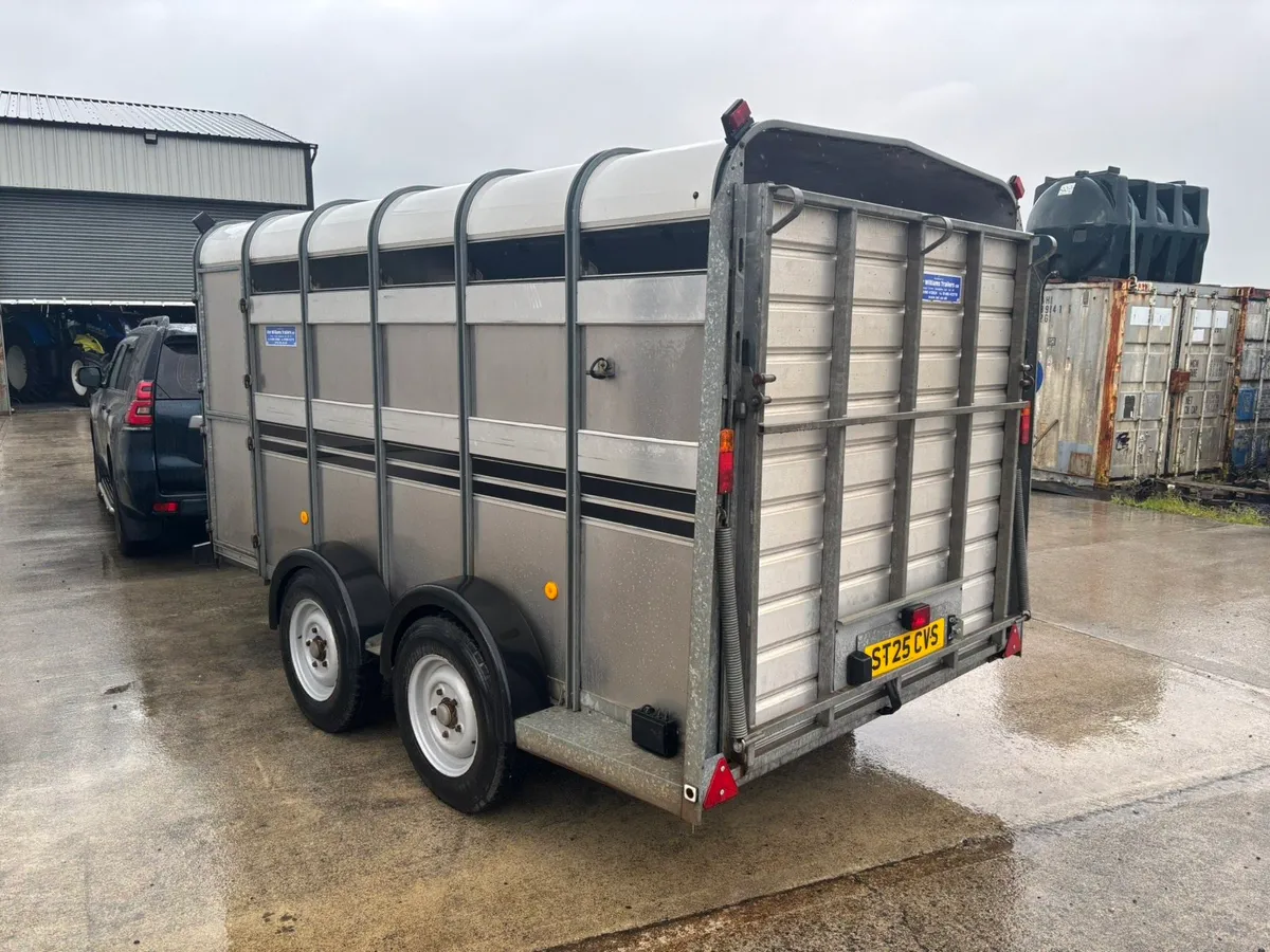 Selection of Ifor Williams 12x6 Livestock Trailers - Image 1