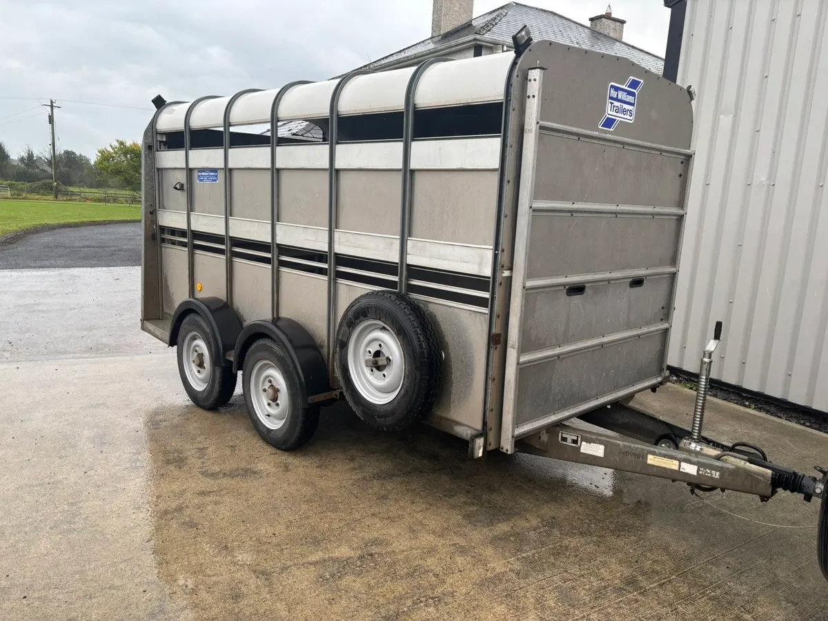 Selection of Ifor Williams 12x6 Livestock Trailers - Image 2