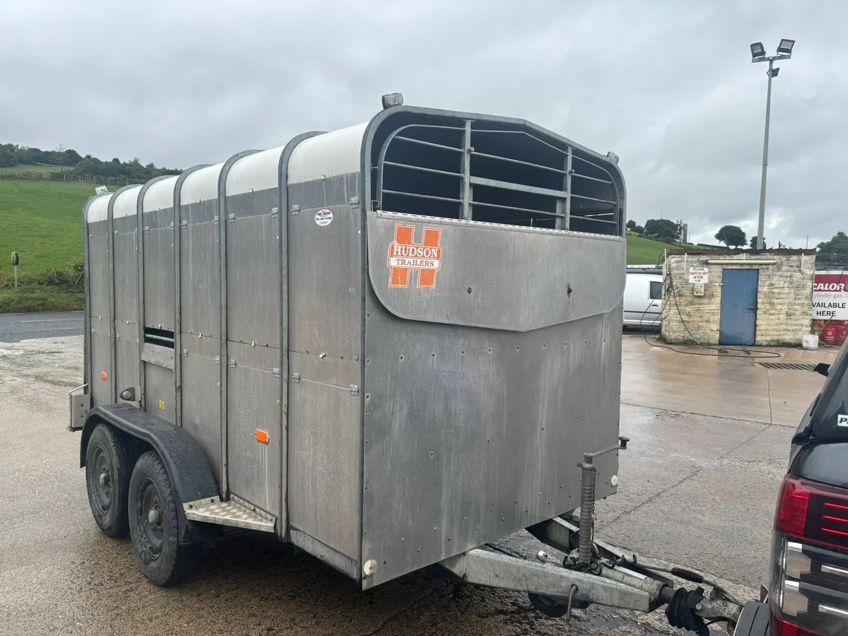 Selection of Ifor Williams 12x6 Livestock Trailers - Image 3