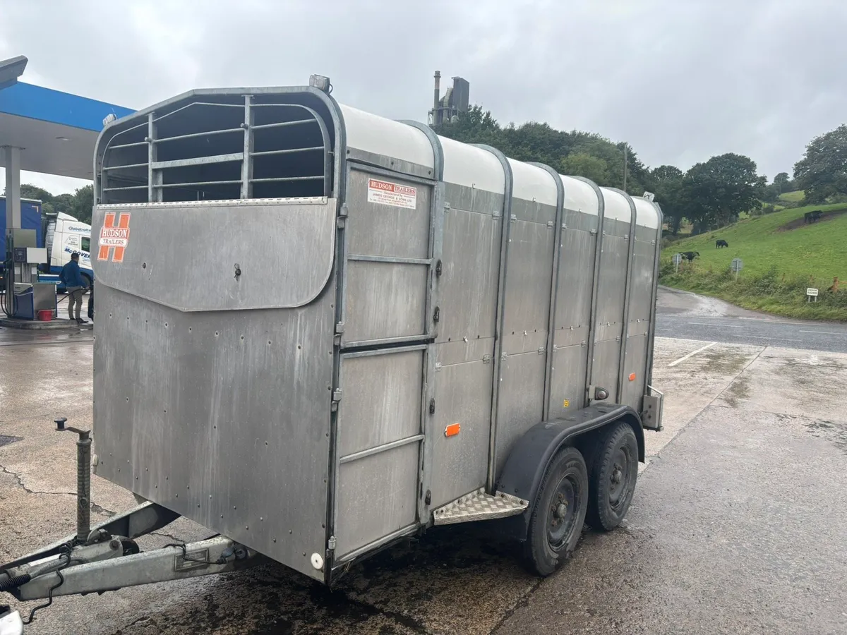 Selection of Ifor Williams 12x6 Livestock Trailers - Image 4