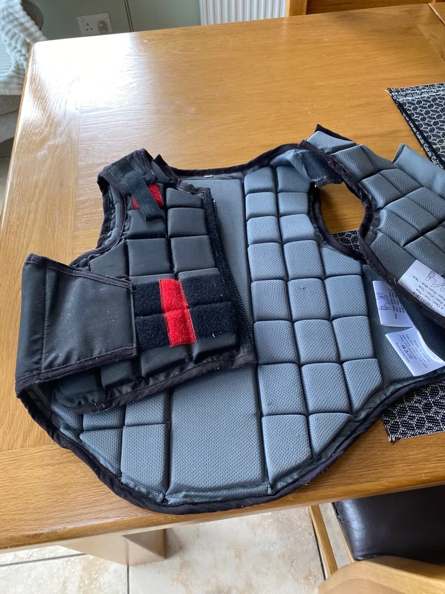 Back brace/protector  for horse riding - Image 2