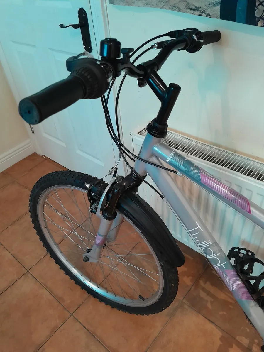 Bicycle - Image 3
