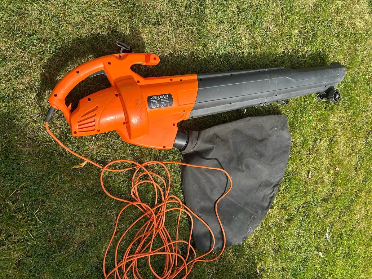 Leaf blower - Image 1