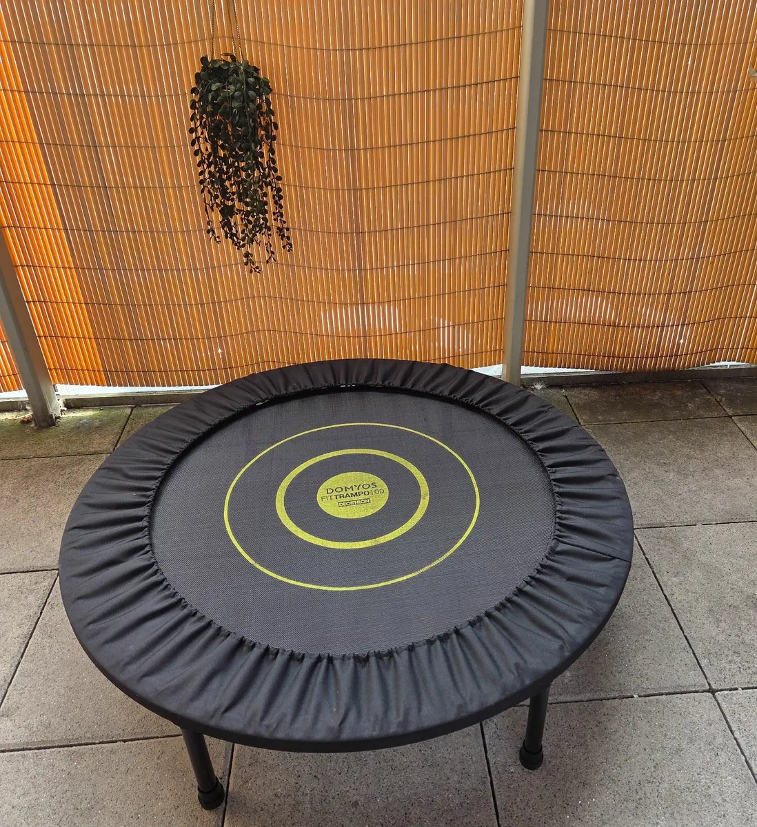 Trampoline - Image 2