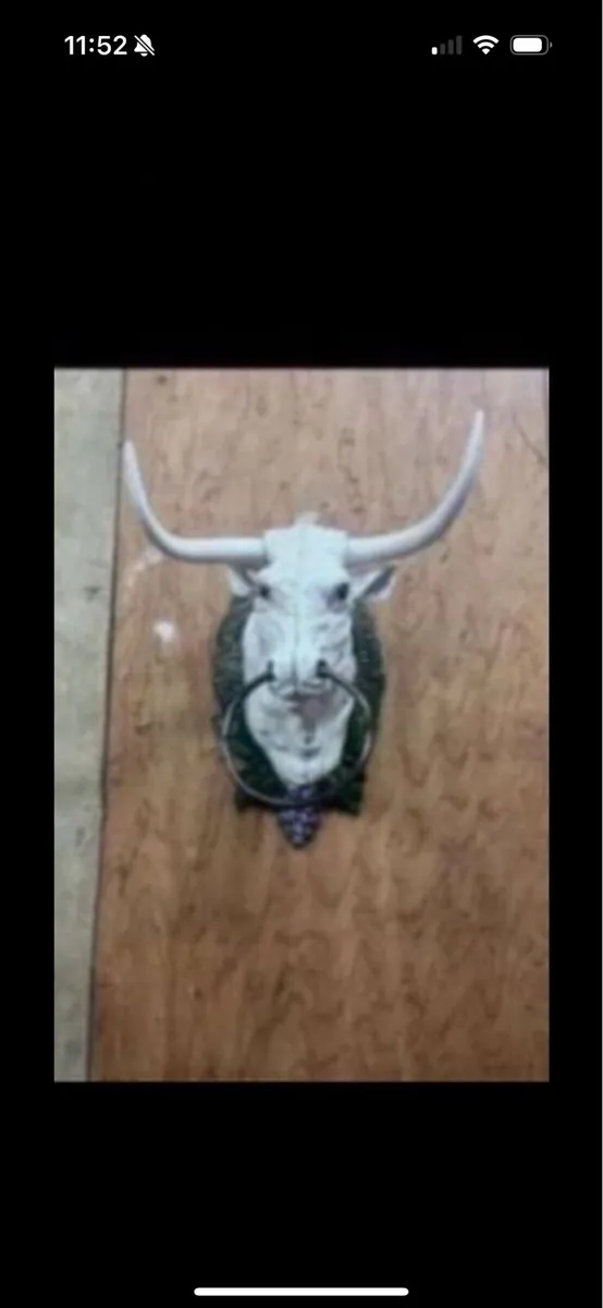 Bull door knocker - Image 3