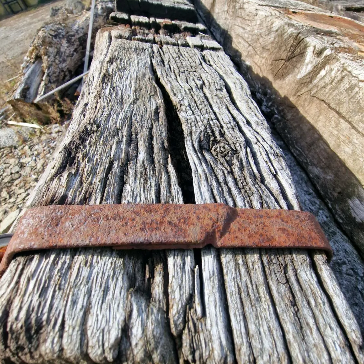 Sleepers - Image 1