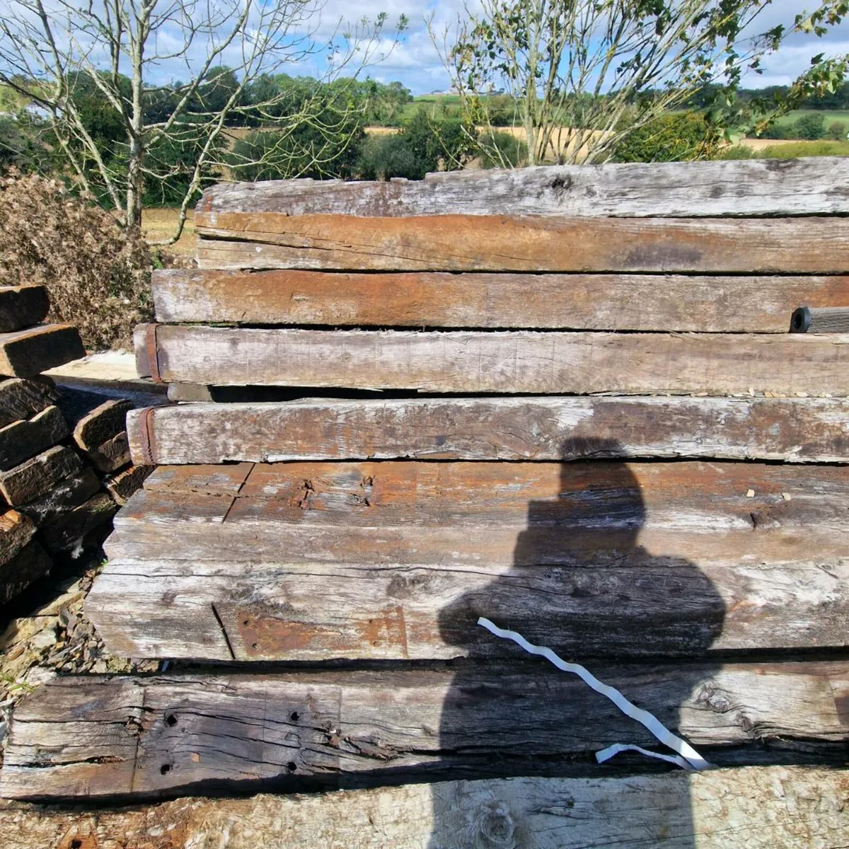 Sleepers - Image 2