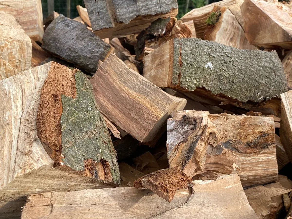 Hardwood firewood logs - Image 2