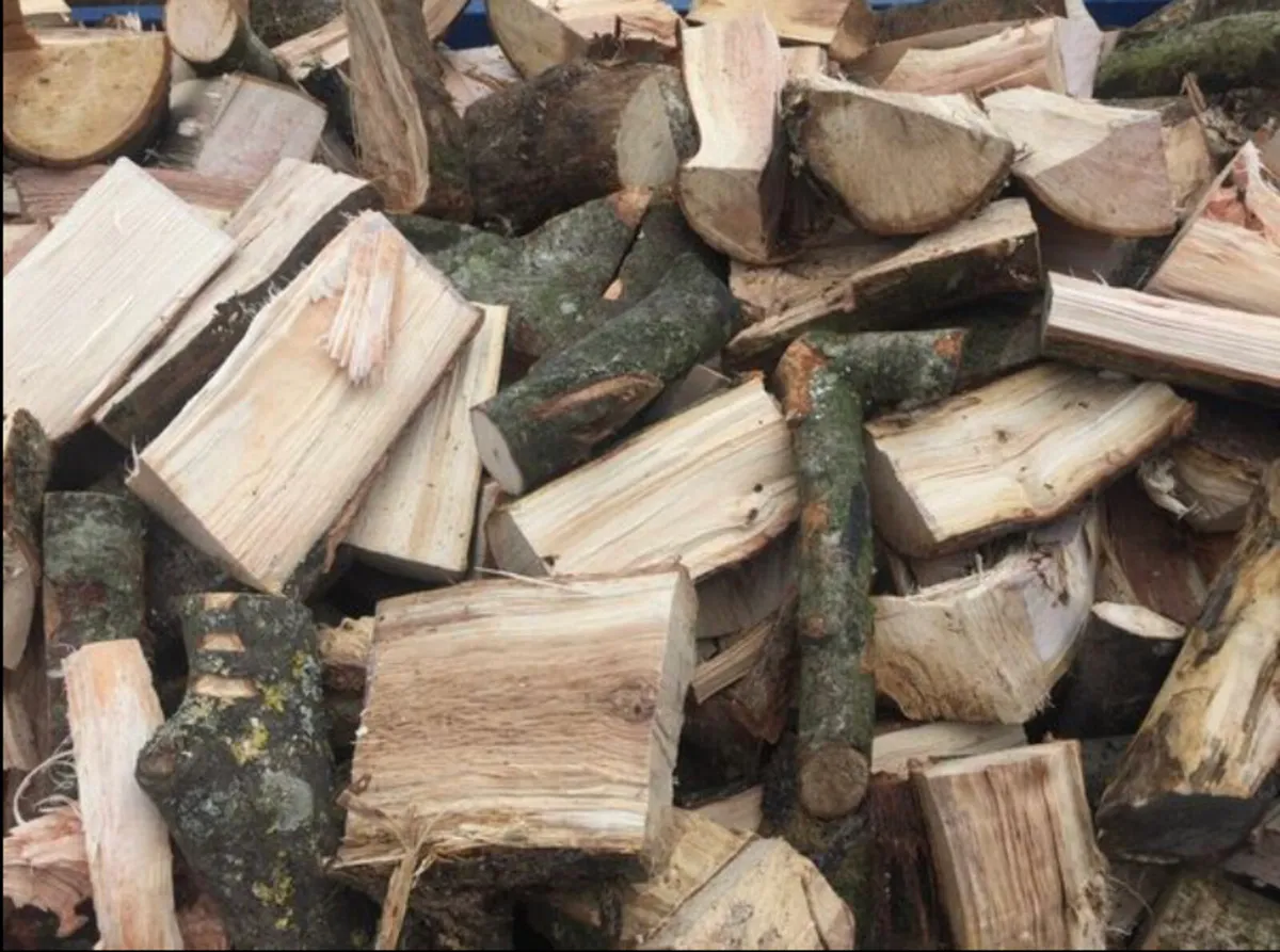 Hardwood firewood logs - Image 3