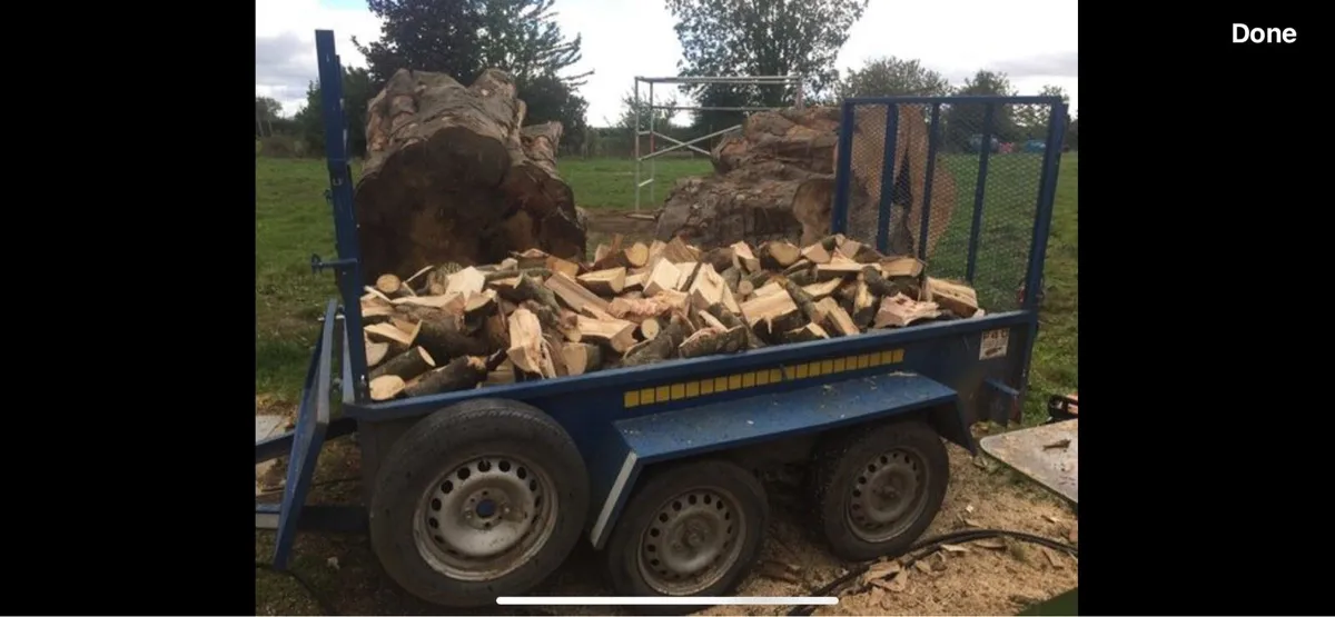 Hardwood firewood logs - Image 4