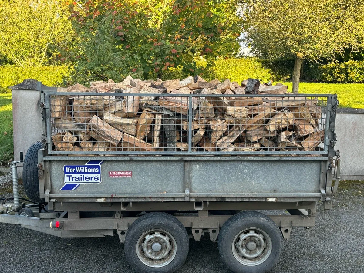 Hardwood firewood logs - Image 1