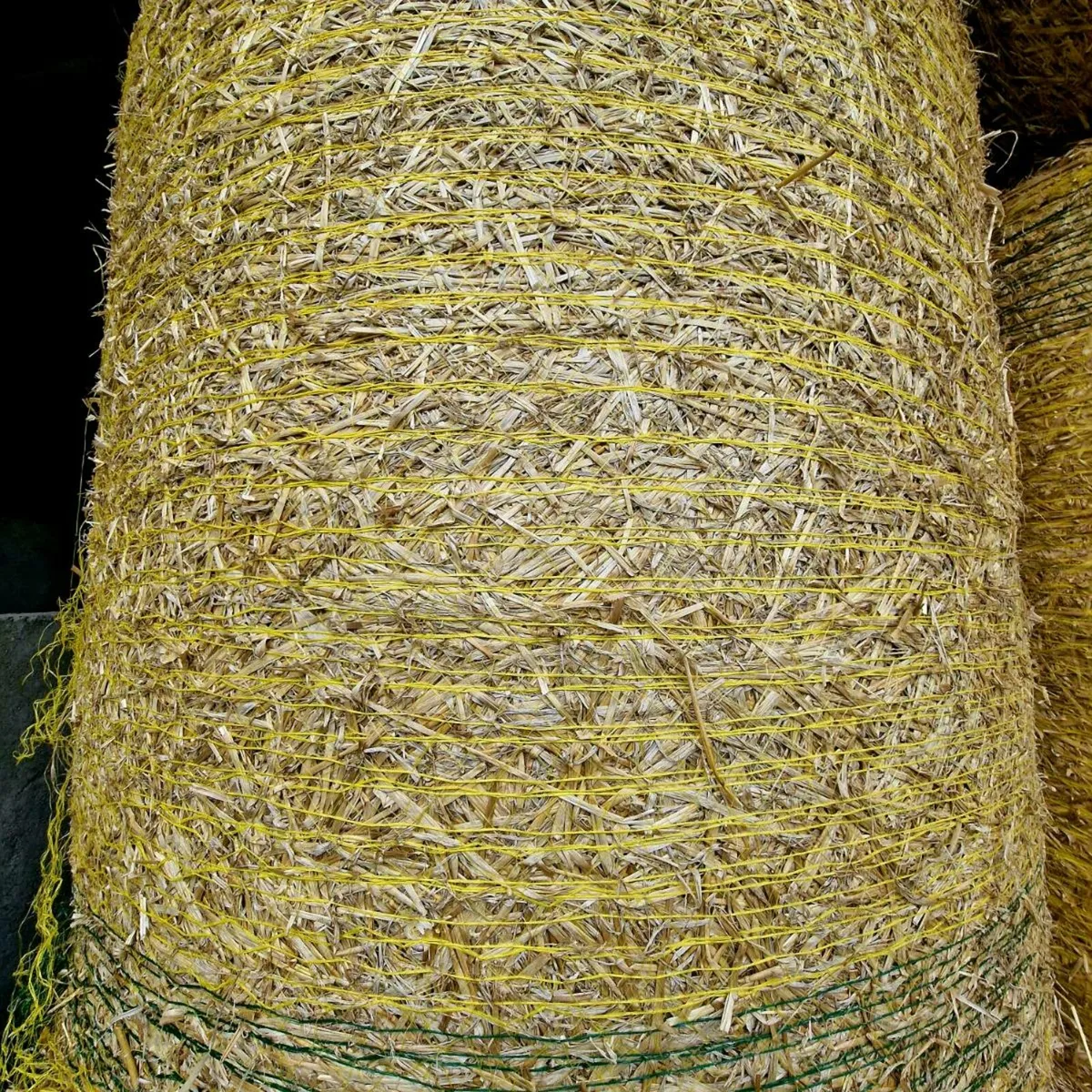 Spring barley straw - Image 2