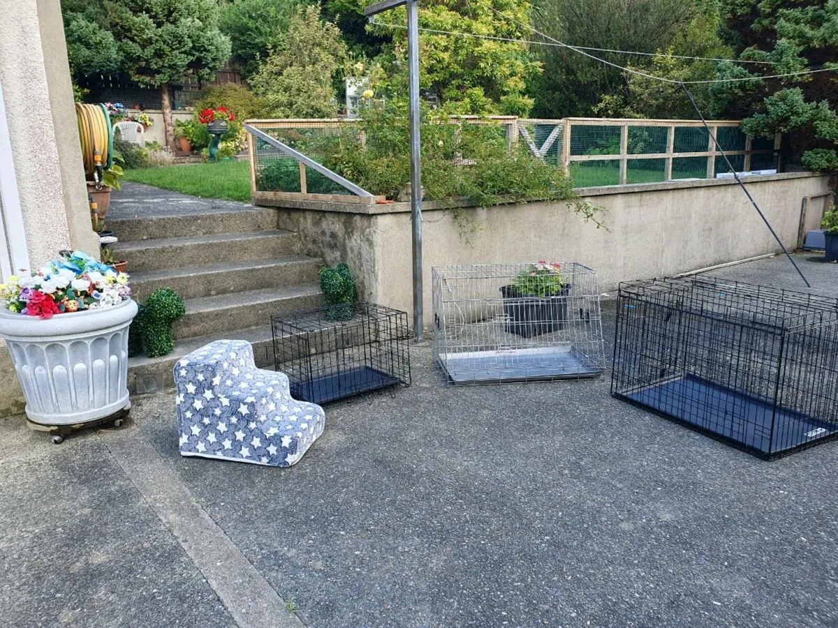 Dog/cat cages - Image 1