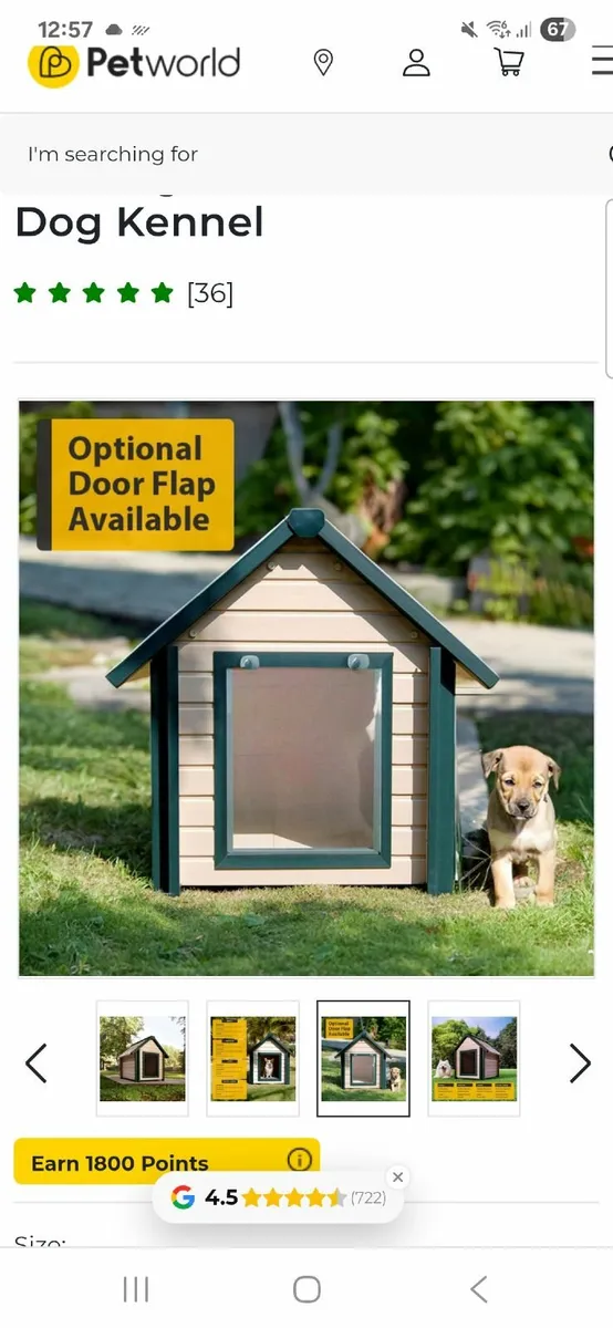 Kennels - Image 4
