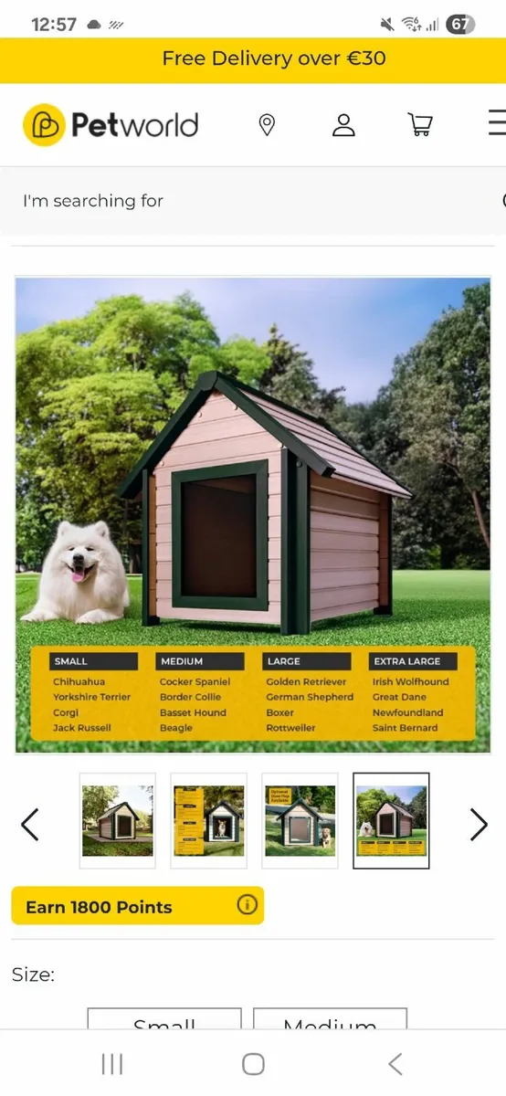 Kennels - Image 3
