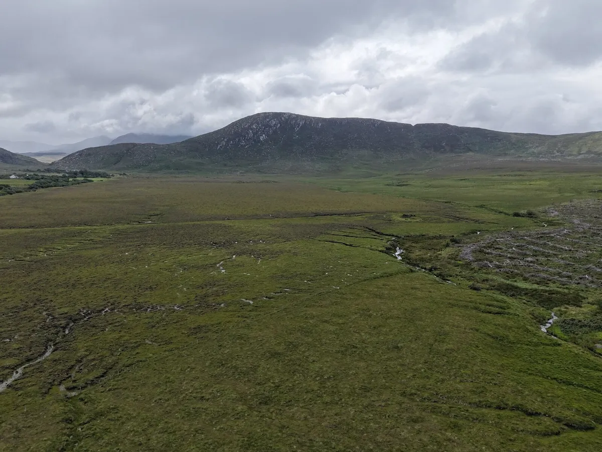 Sheep/ Drone Service - Image 3